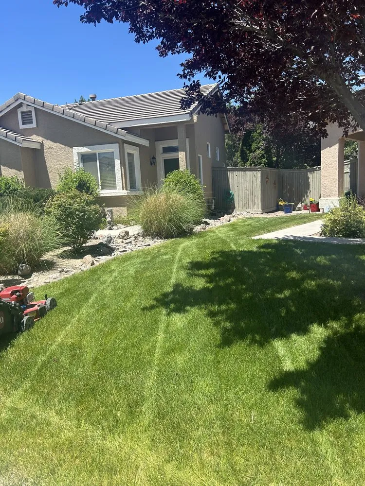 Local lawn care service for homes across Reno, NV - Lawn Solutions