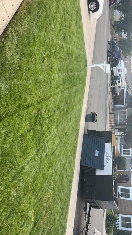 Top-rated garden landscaping with custom design in Reno, NV by Lawn Solutions