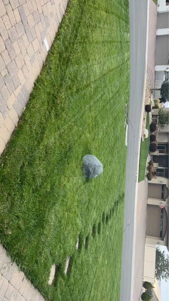 Reliable landscape design near you across Reno, NV - Lawn Solutions