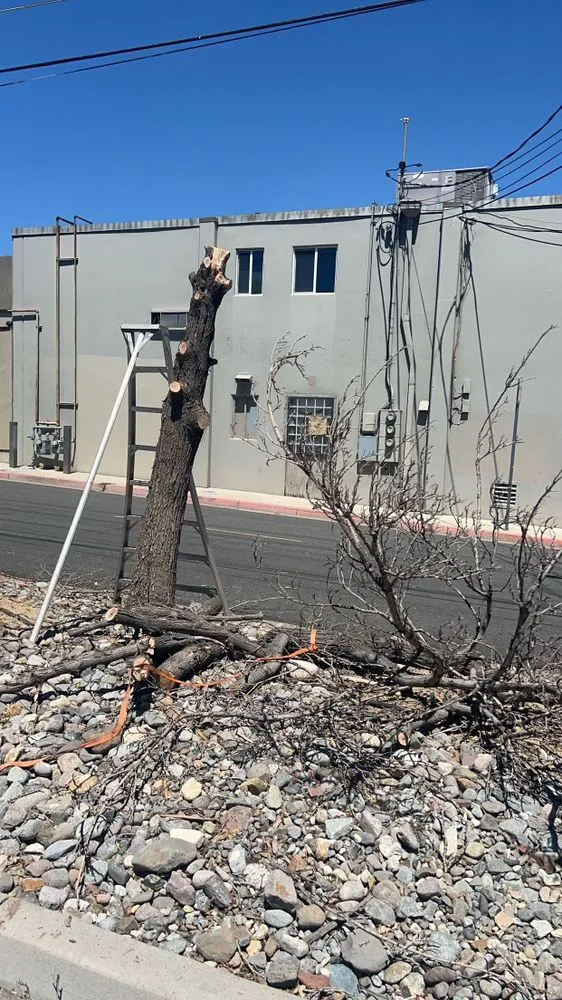 Trusted residential landscaping for outdoor upgrades in Reno, NV by Lawn Solutions