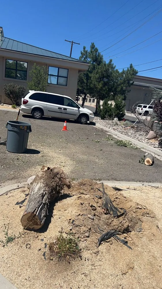 Professional outdoor landscaping in Reno, NV by Lawn Solutions