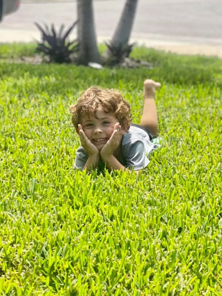 Affordable landscaping services in Hudson, FL by Lawn Spa