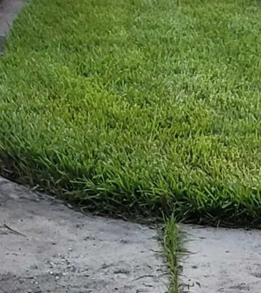 Professional outdoor landscaping for homes in Hudson, FL by Lawn Spa