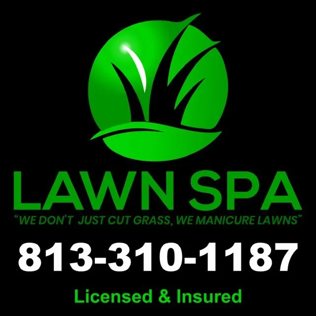 Reliable yard cleanup service in Hudson, FL by Lawn Spa