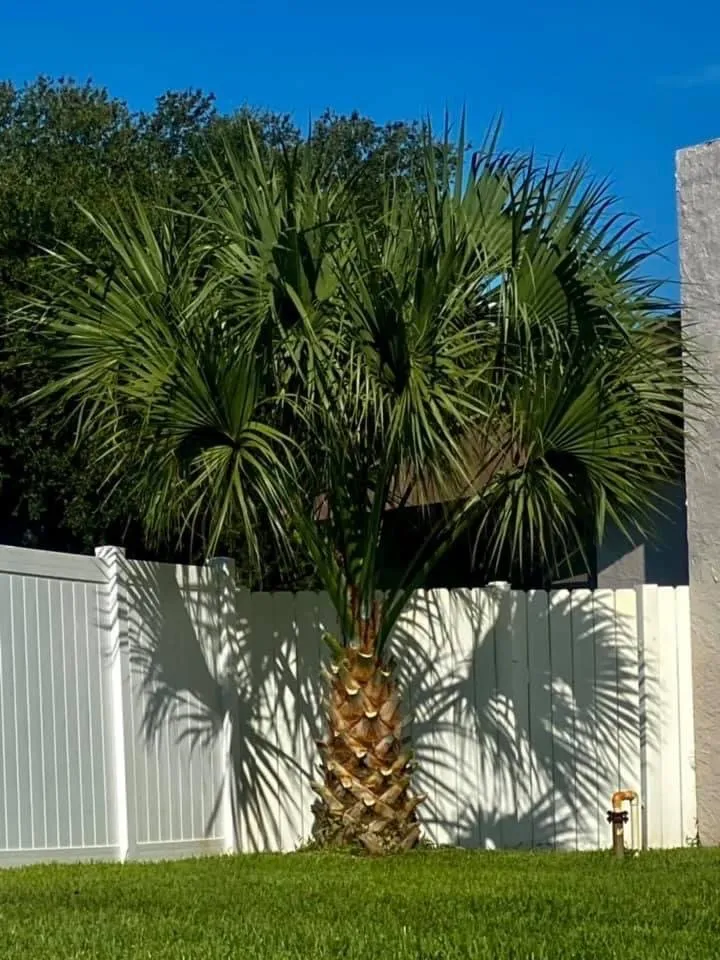 Reliable lawn mowing service in Hudson, FL by Lawn Spa