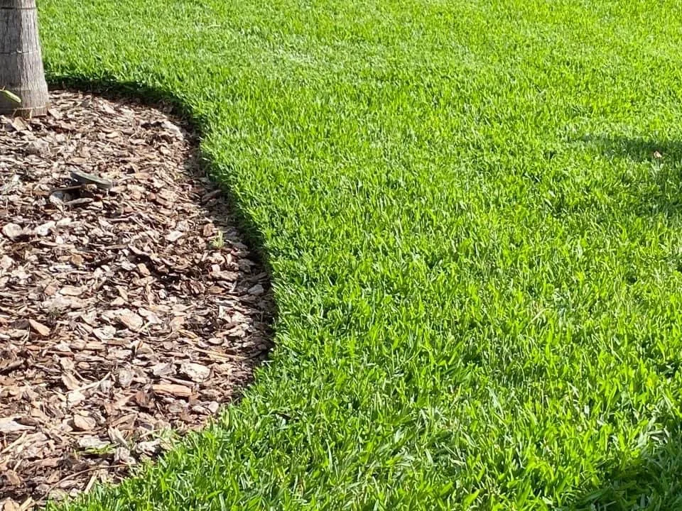 Expert landscape design in Hudson, FL by Lawn Spa