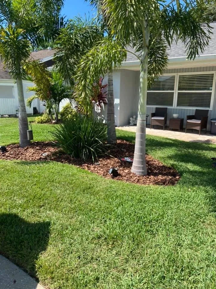 Professional landscaping services experts serving Hudson, FL - Lawn Spa