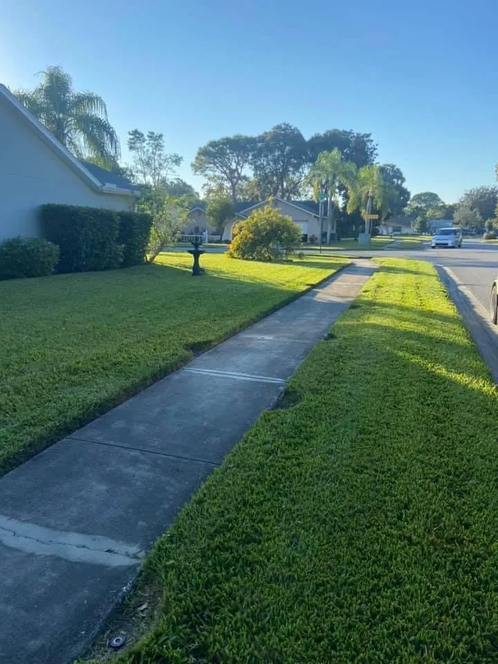 Reliable yard cleanup service in Hudson, FL by Lawn Spa