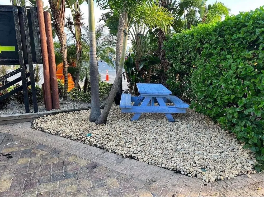Local yard cleanup service for year-round maintenance across Hudson, FL - Lawn Spa