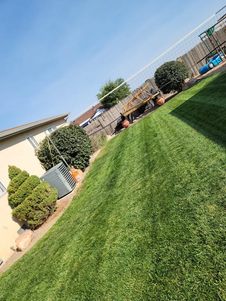Local yard cleanup service in Pueblo, CO by Lawn Specialist