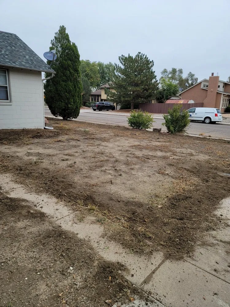 Local lawn care service experts serving Pueblo, CO - Lawn Specialist