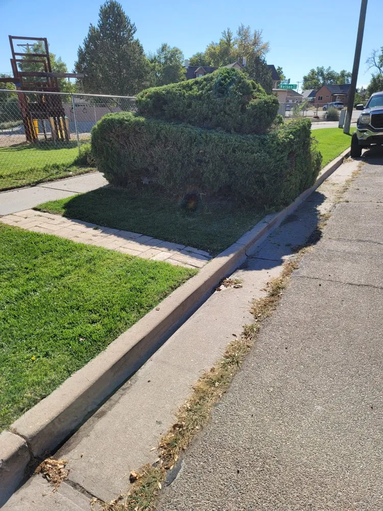 Custom landscape design for year-round maintenance in Pueblo, CO by Lawn Specialist