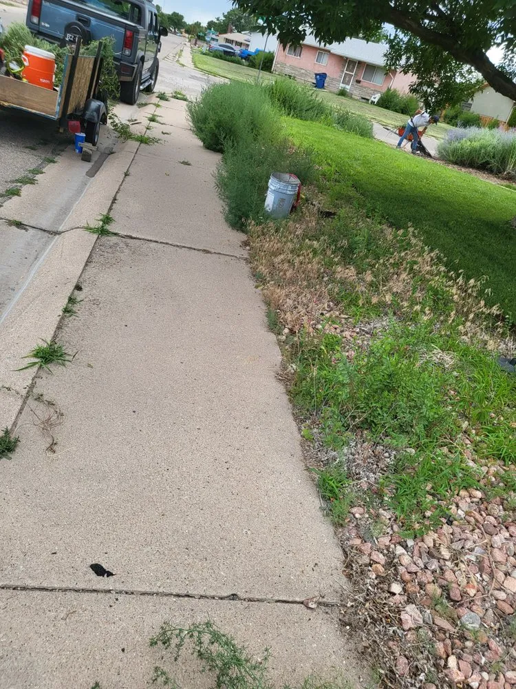 Reliable outdoor landscaping in Pueblo, CO - Lawn Specialist