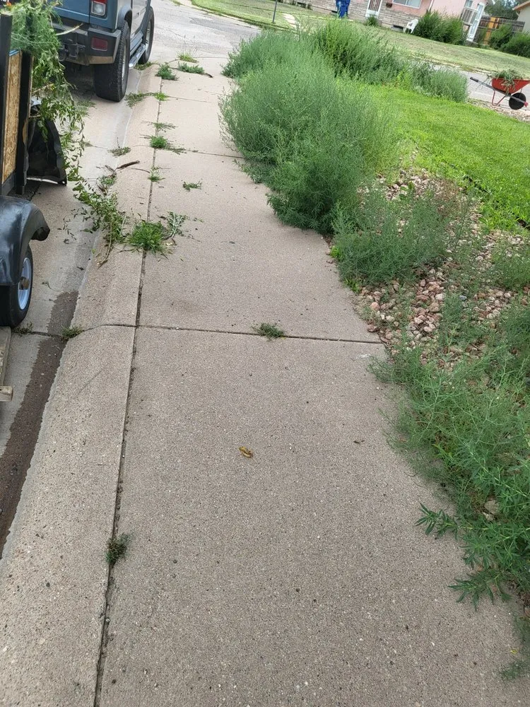 Local outdoor landscaping in Pueblo, CO - Lawn Specialist