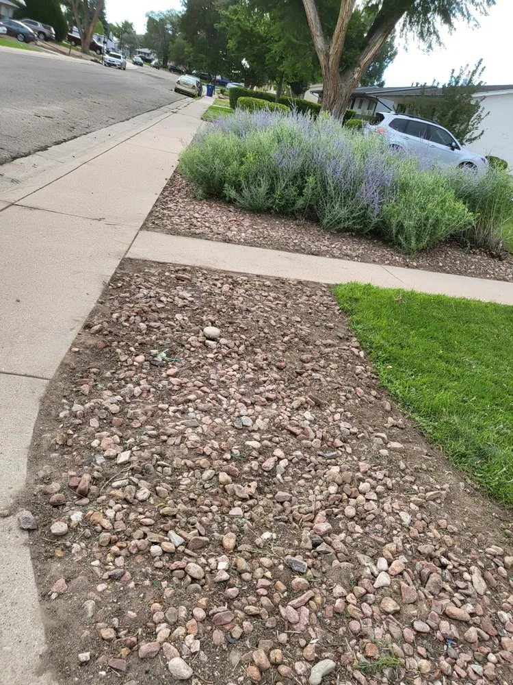 Trusted yard cleanup service for homes in Pueblo, CO by Lawn Specialist