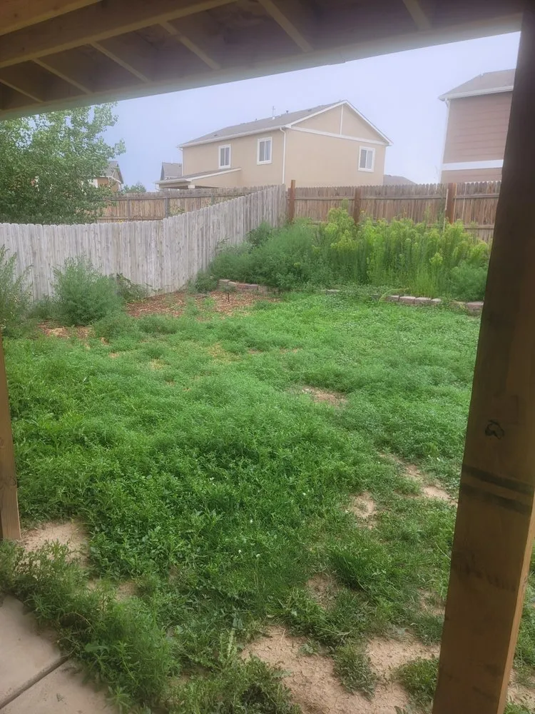 Top-rated yard maintenance experts serving Pueblo, CO - Lawn Specialist