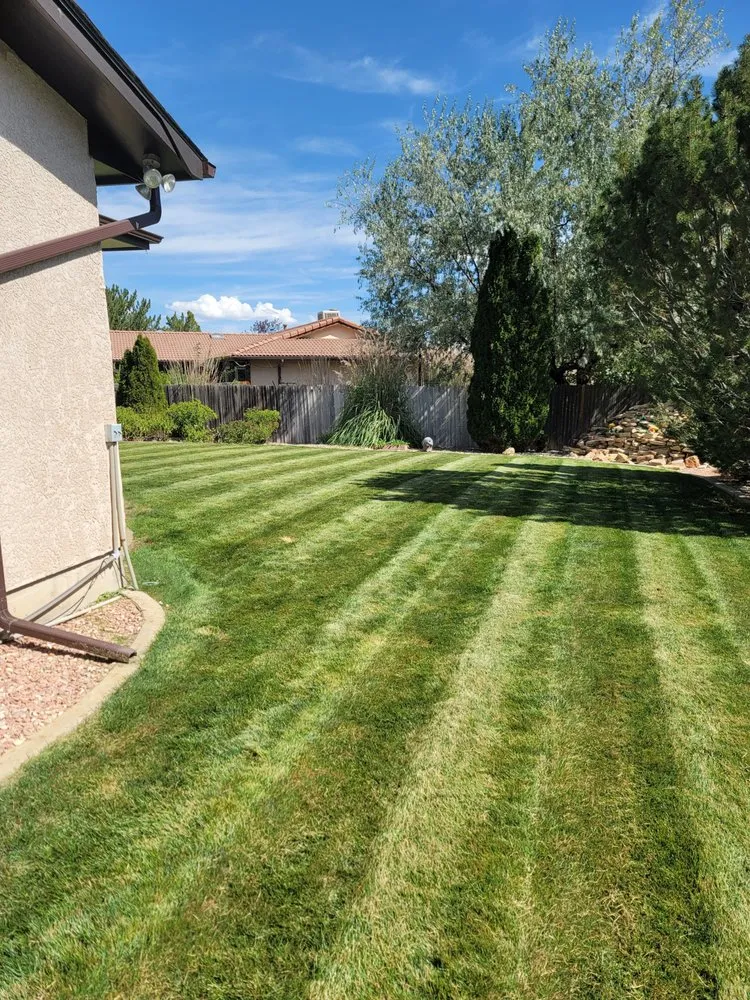 Professional landscape design in Pueblo, CO by Lawn Specialist