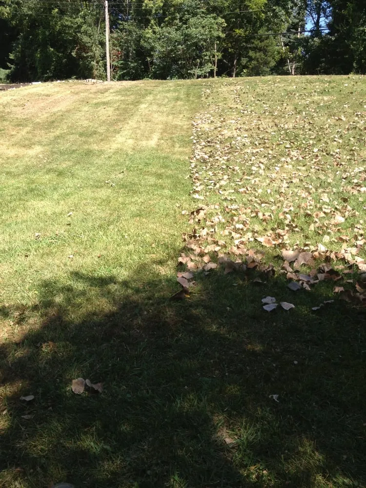 Expert landscaping services in Decatur, IL - Lawn Specialties