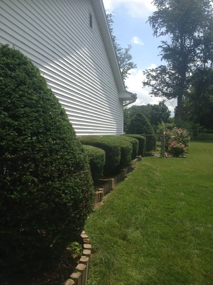 Custom yard cleanup service in Decatur, IL by Lawn Specialties