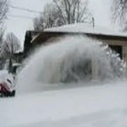 Expert yard cleanup service for year-round maintenance across Decatur, IL - Lawn Specialties