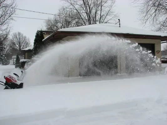 Lawn Specialties Logo