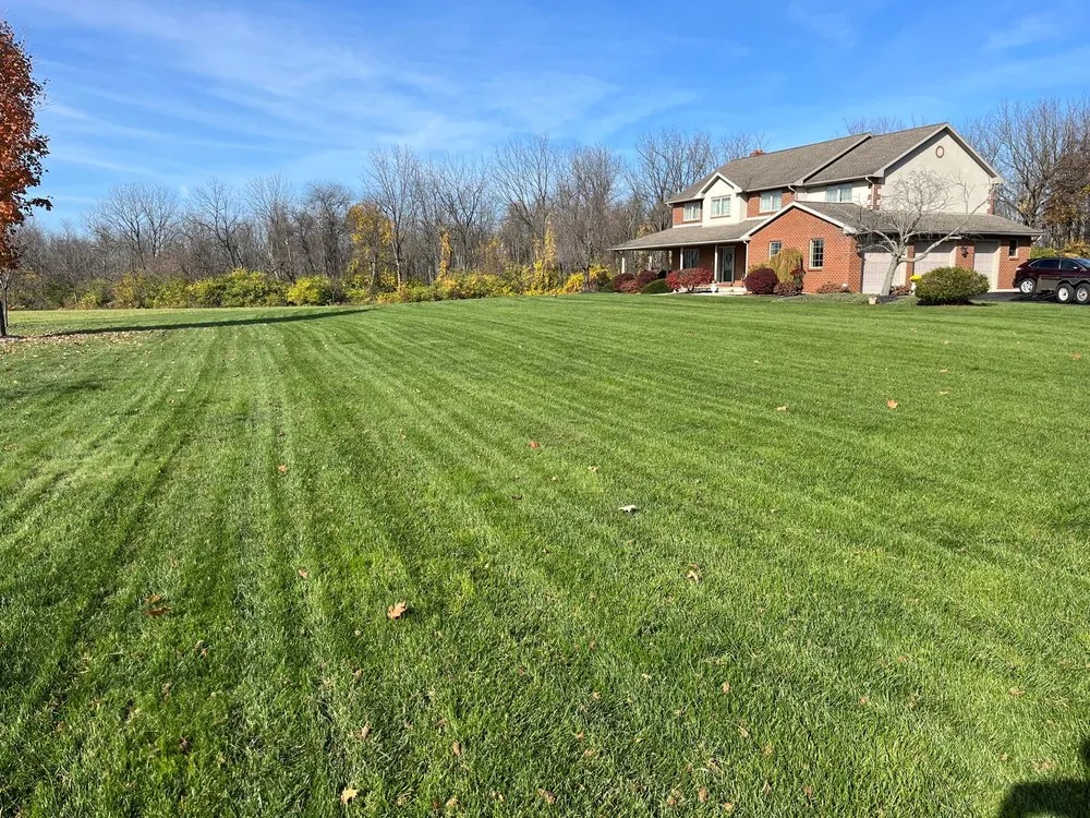Reliable lawn care service experts serving Hazleton, PA - Lawn Specialties