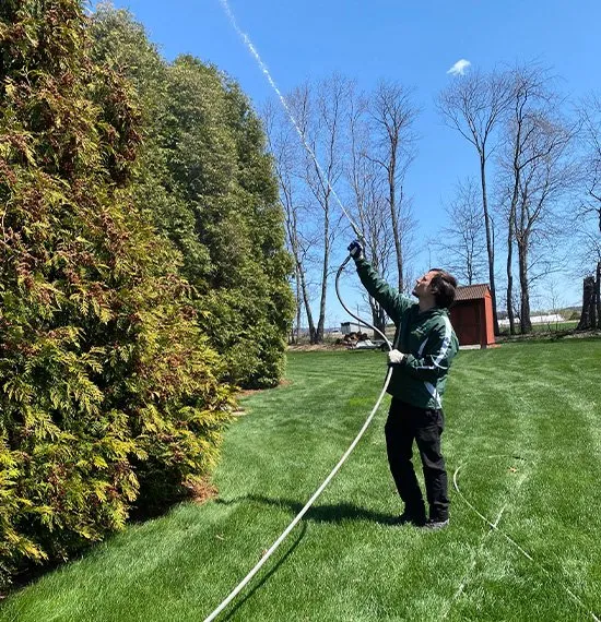 Affordable yard maintenance for homes in Hazleton, PA by Lawn Specialties