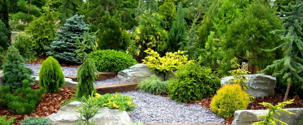 Affordable yard maintenance experts serving Lansing, MI - Lawn Sprinklers Sales Service & Design