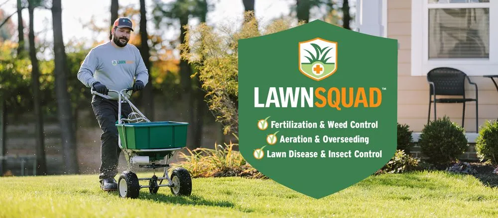 Affordable yard cleanup service experts serving Elyria, OH - Lawn Squad - Cleveland