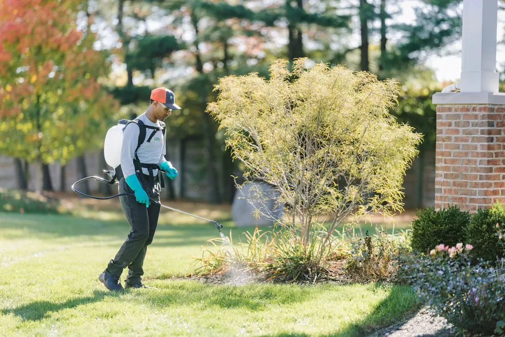 Top-rated garden landscaping in Elyria, OH - Lawn Squad - Cleveland