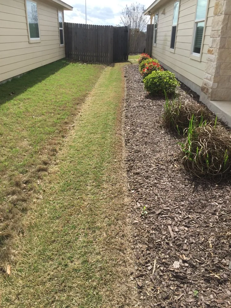Reliable yard cleanup service in Colorado Springs, CO - Lawn Squad