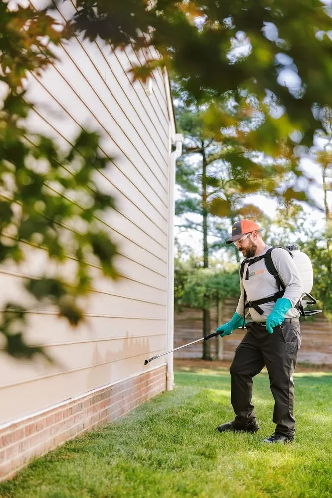 Local yard cleanup service in Myrtle Beach, SC by Lawn Squad