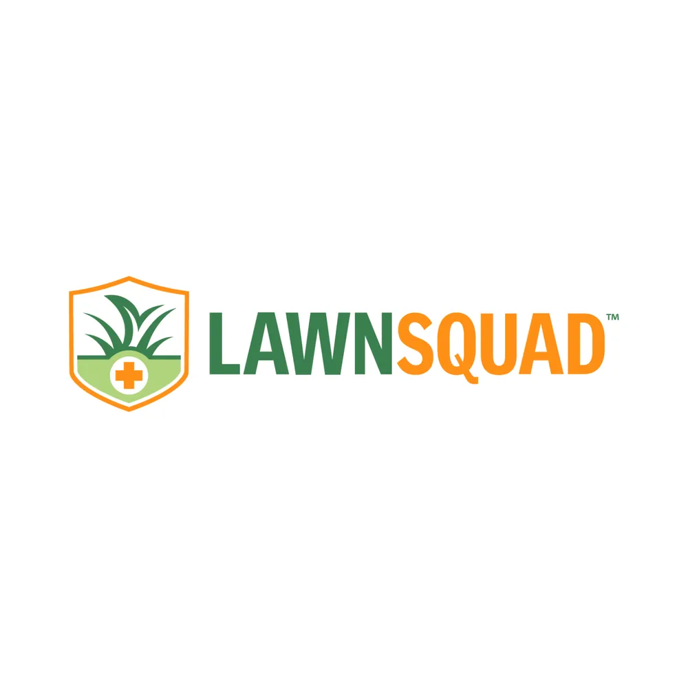 Local yard cleanup service for outdoor upgrades in Myrtle Beach, SC by Lawn Squad