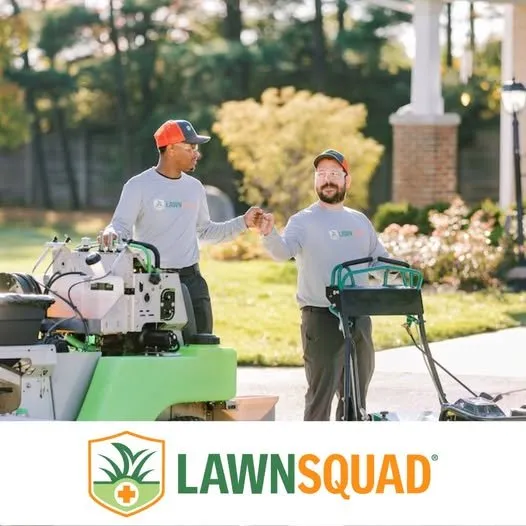 Custom landscape design in Lincolnshire, IL - Lawn Squad of Chicago's North Shore