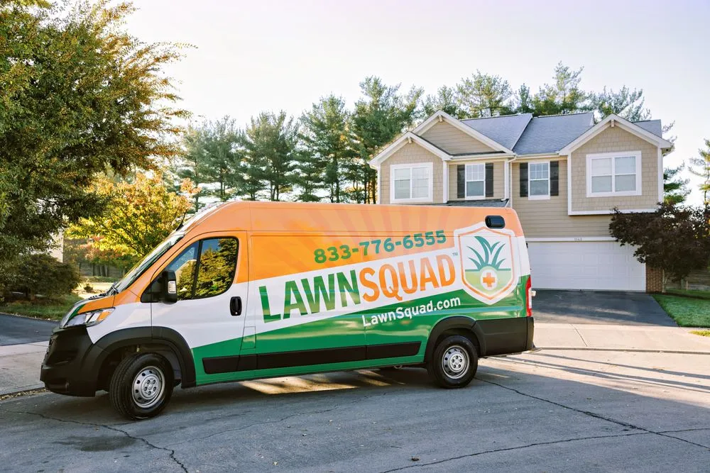 Local outdoor landscaping in San Antonio, TX - Lawn Squad of North San Antonio