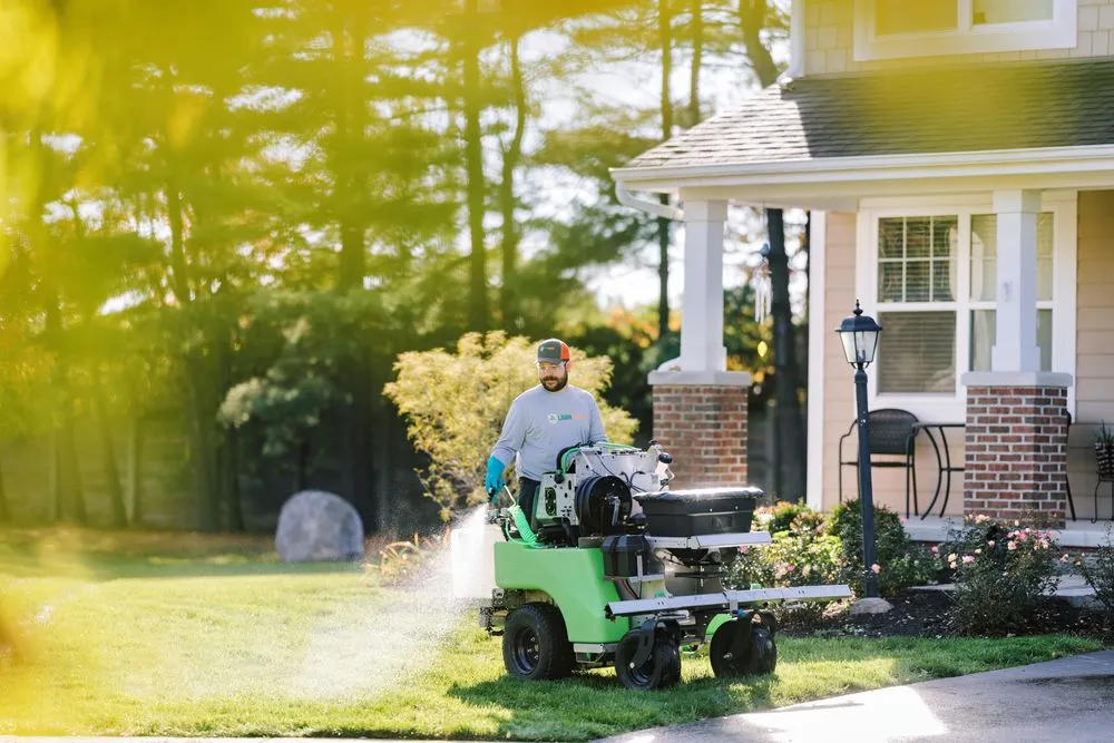 Custom yard cleanup service experts serving Porter City, TX - Lawn Squad