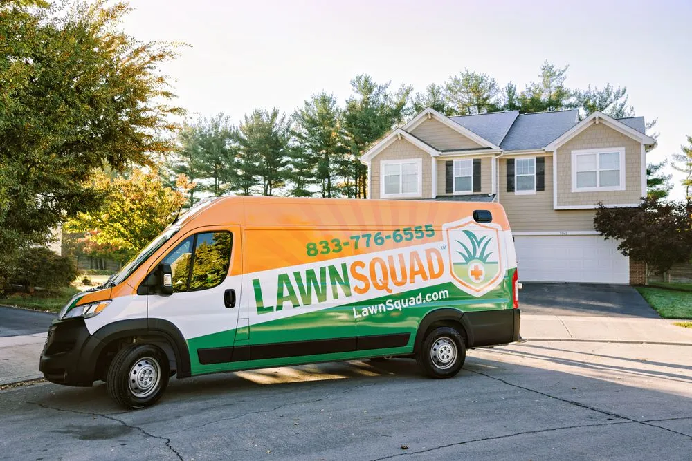 Reliable yard maintenance experts serving Porter City, TX - Lawn Squad
