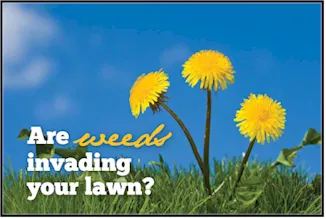 Expert residential landscaping for homes in Rockwall, TX by Lawn Squad Services