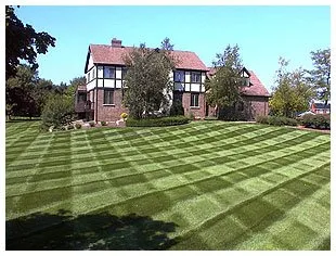 Expert lawn mowing service experts serving Burton, MI - Lawn Star