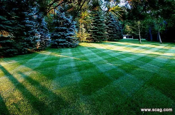 Local yard cleanup service for homes across Burton, MI - Lawn Star