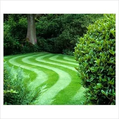 Local landscape design with custom design across Burton, MI - Lawn Star