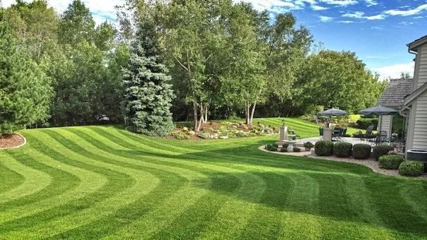 Affordable lawn care service experts serving Burton, MI - Lawn Star