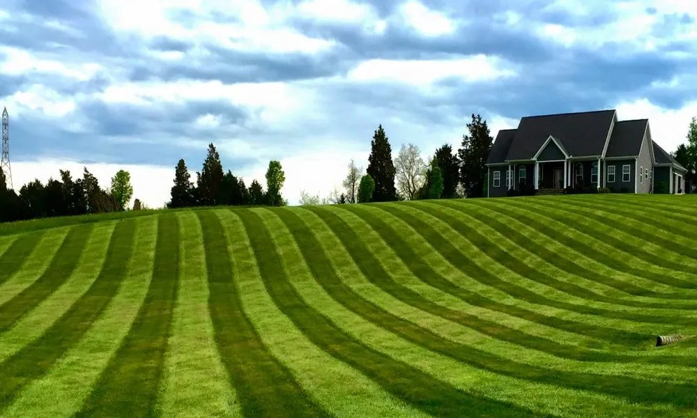 Professional residential landscaping for year-round maintenance in Burton, MI by Lawn Star
