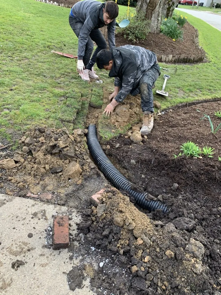 Expert lawn mowing service in Takoma Park, MD by Lawn Star Landscaping Solution