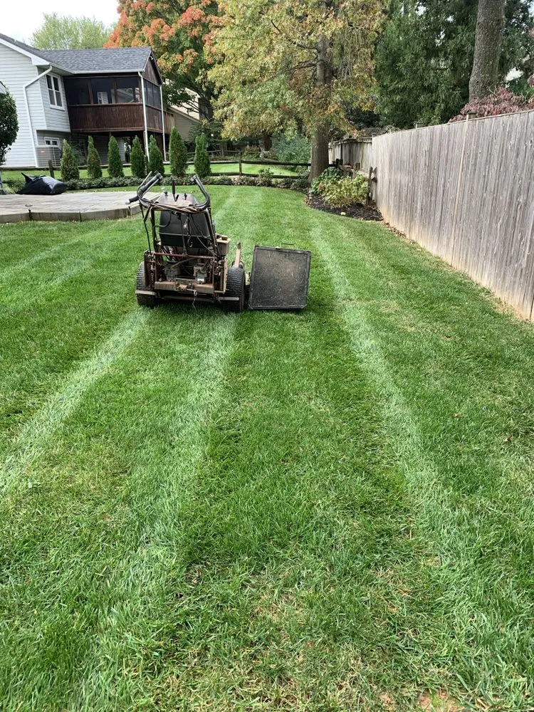 Expert yard maintenance for year-round maintenance in Takoma Park, MD by Lawn Star Landscaping Solution
