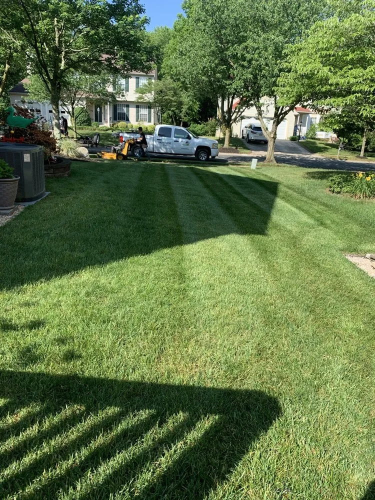 Expert lawn care service in Takoma Park, MD - Lawn Star Landscaping Solution