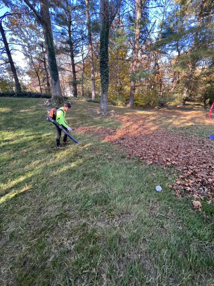 Top-rated landscape design near you across Takoma Park, MD - Lawn Star Landscaping Solution