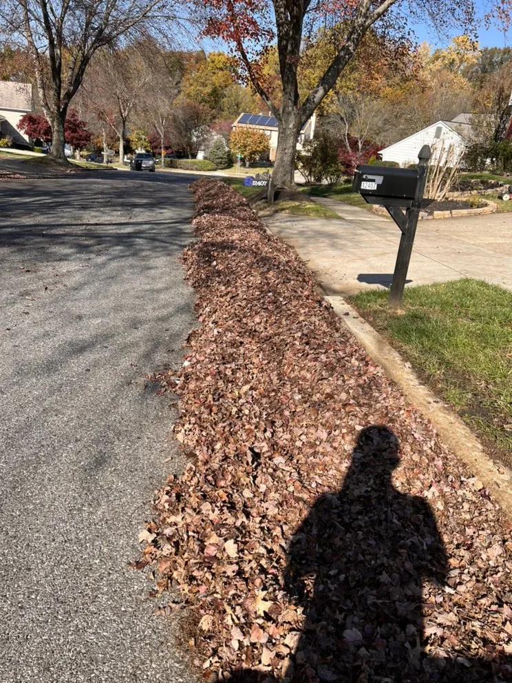 Professional residential landscaping in Takoma Park, MD - Lawn Star Landscaping Solution