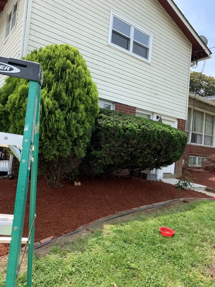 Local outdoor landscaping in Takoma Park, MD - Lawn Star Landscaping Solution