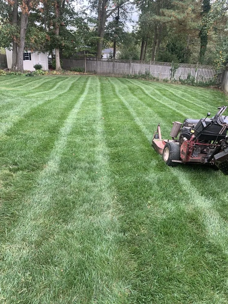 Trusted lawn care service experts serving Takoma Park, MD - Lawn Star Landscaping Solution